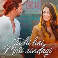 Tu Hi Hai Meri Zindagi Lyrics in Hindi