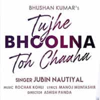 Tujhe bhoolna toh chaaha Lyrics in Hindi