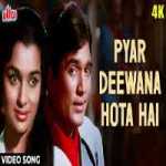 Pyar Deewana Hota Hai Lyrics in Hindi