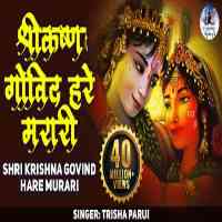 Shri Krishna Govind Hare Murari Lyrics in hindi